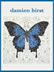 damien hirst